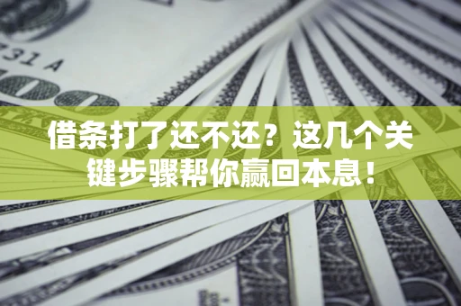 武汉借条打了还不还？这几个关键步骤帮你赢回本息！