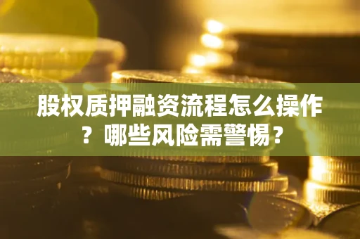 武汉股权质押融资流程怎么操作？哪些风险需警惕？