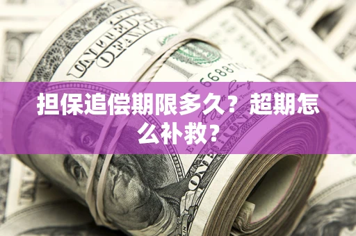 武汉担保追偿期限多久？超期怎么补救？