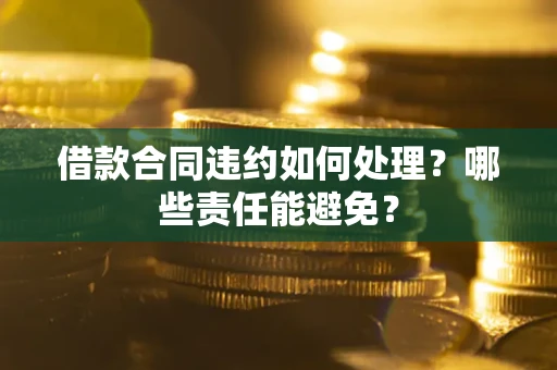 武汉借款合同违约如何处理？哪些责任能避免？