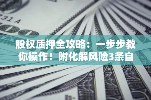 武汉股权质押全攻略：一步步教你操作！附化解风险3条自救法则
