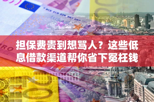 武汉担保费贵到想骂人？这些低息借款渠道帮你省下冤枉钱
