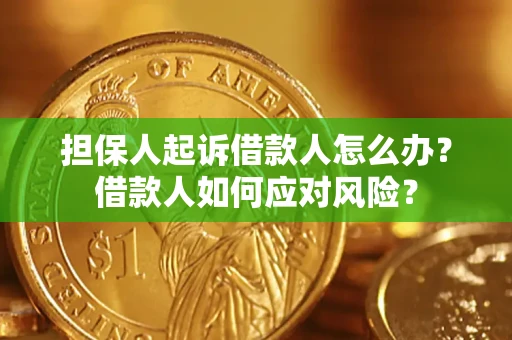 武汉担保人起诉借款人怎么办？借款人如何应对风险？