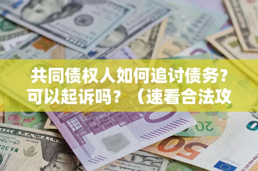 武汉共同债权人如何追讨债务？可以起诉吗？（速看合法攻略）