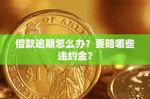 武汉借款逾期怎么办？要赔哪些违约金？